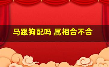 马跟狗配吗 属相合不合